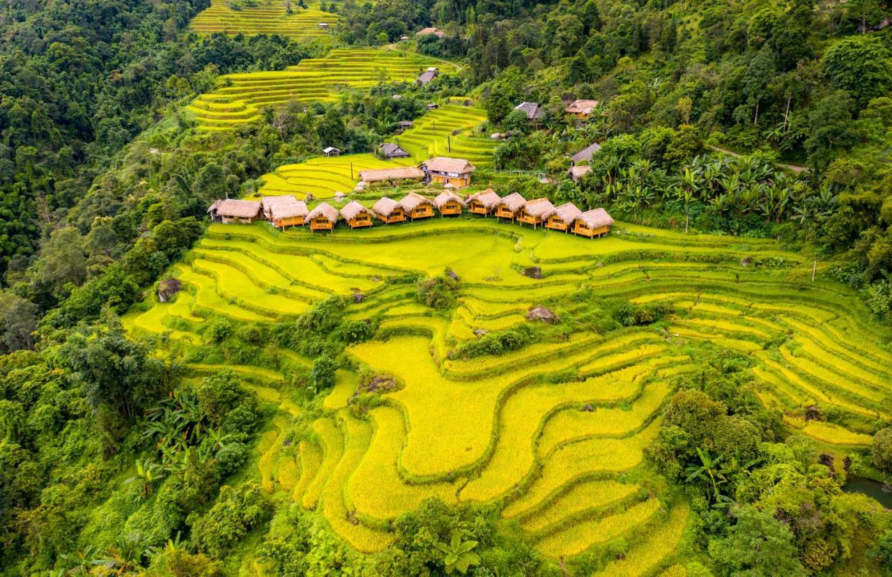 河江 黄树皮旅馆酒店 外观 照片